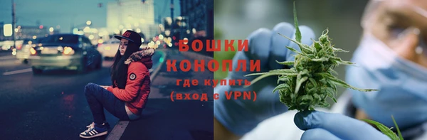 ГАЛЛЮЦИНОГЕННЫЕ ГРИБЫ Осинники