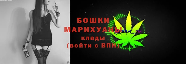 ГАЛЛЮЦИНОГЕННЫЕ ГРИБЫ Осинники