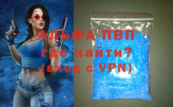 ГАЛЛЮЦИНОГЕННЫЕ ГРИБЫ Осинники
