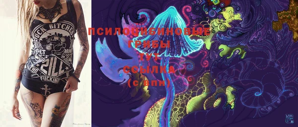 ГАЛЛЮЦИНОГЕННЫЕ ГРИБЫ Осинники
