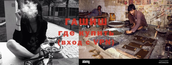 ГАЛЛЮЦИНОГЕННЫЕ ГРИБЫ Осинники