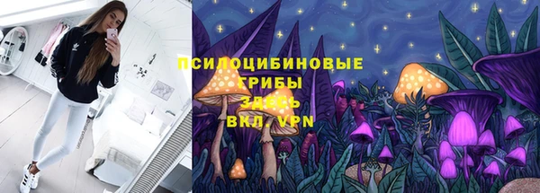 ALPHA PVP Осташков