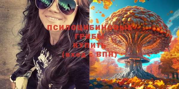 ГАЛЛЮЦИНОГЕННЫЕ ГРИБЫ Осинники